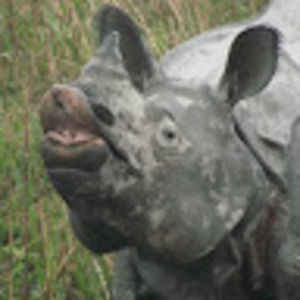 Meet your Posher, Dylan